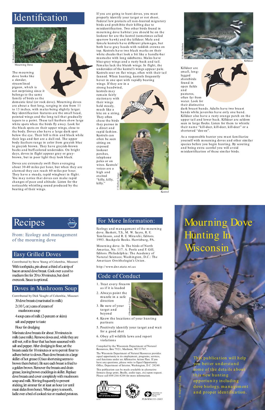 Mourning Dove Brochure