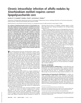 Chronic Intracellular Infection of Alfalfa Nodules by Sinorhizobium Meliloti Requires Correct Lipopolysaccharide Core