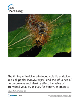 The Timing of Herbivore-Induced Volatile Emission in Black Poplar