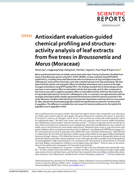 Antioxidant Evaluation-Guided Chemical Profiling and Structure