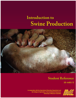 Introduction Toto Swineswine Productionproduction