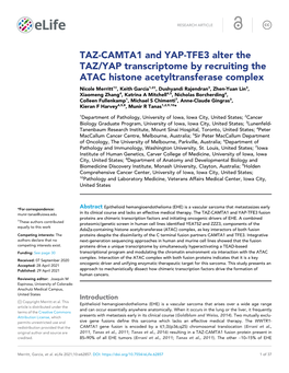TAZ-CAMTA1 and YAP-TFE3 Alter the TAZ/YAP Transcriptome By