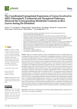 The Coordinated Upregulated Expression of Genes Involved In