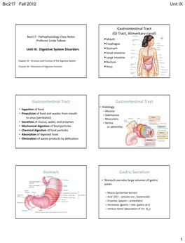 Digestive System Disorders Stomach Small Intestine Large Intestine Chapter 33: Structure and Function of the Digestive System Rectum