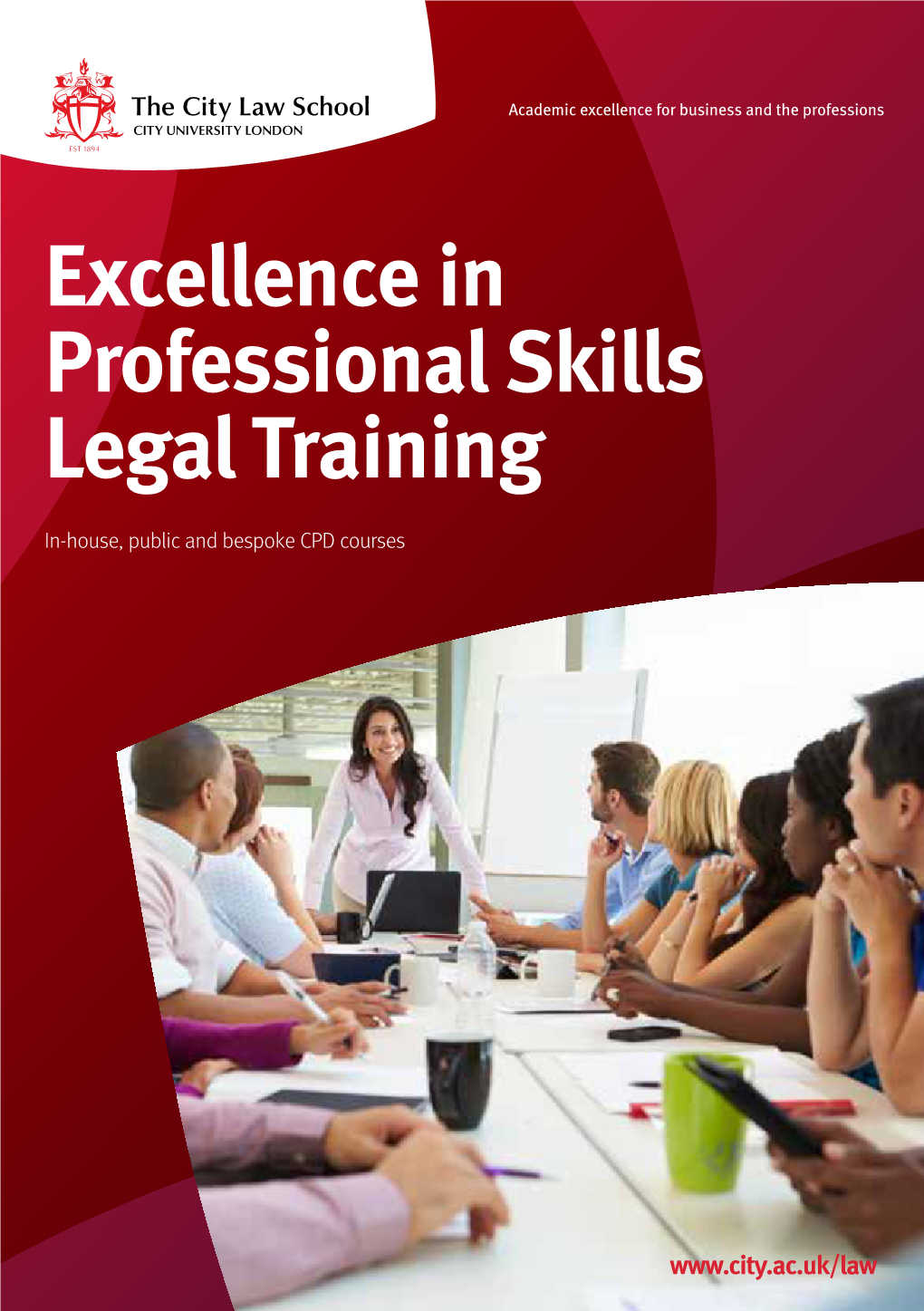 Excellence in Professional Skills Legal Training