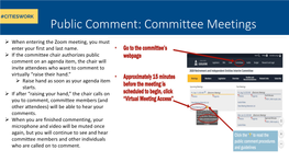 Public Comment: Committee Meetings
