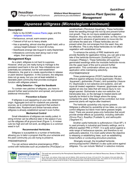 Japanese Stiltgrass (Microstegium Vimineum)