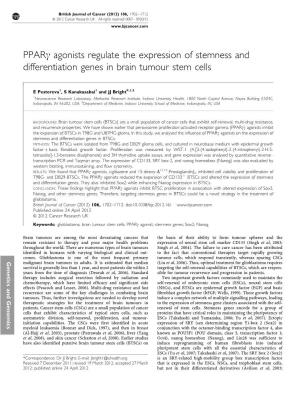 Agonists Regulate the Expression of Stemness and Differentiation Genes in Brain Tumour Stem Cells
