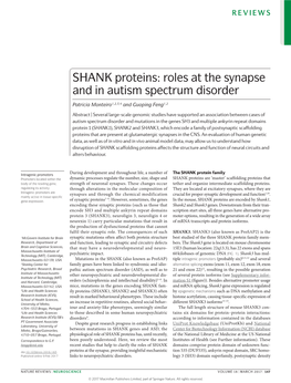 SHANK Proteins: Roles at the Synapse and in Autism Spectrum Disorder