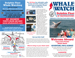 Dolphin Fleet Whale Watch Forget a Camera to Share Your Experiences with Others Back GUARANTEE Departures Home