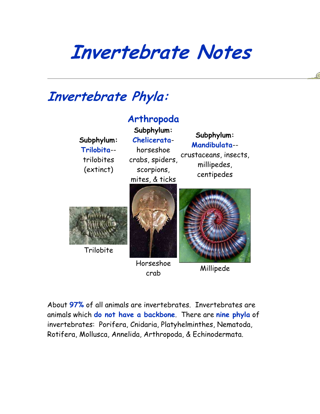 Invertebrate Notes