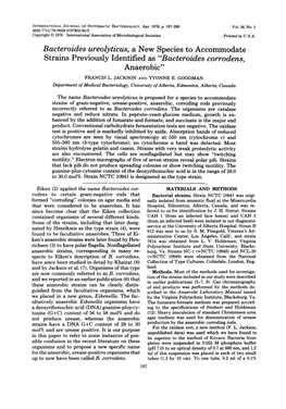 Bacteroides Ureolyticus, a New Species to Accommodate Strains Previously Identified As “Bacteroides Corrodens, Anaerobic”