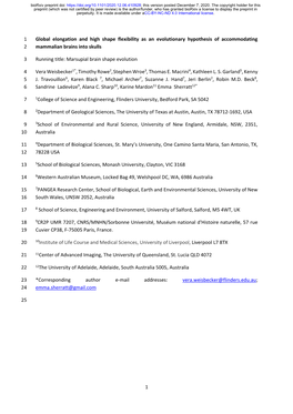 1 Global Elongation and High Shape Flexibility As an Evolutionary Hypothesis of Accommodating 1 Mammalian Brains Into Skulls