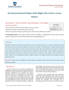An Unconventional Origin of the Right Colic Artery: a Case Report