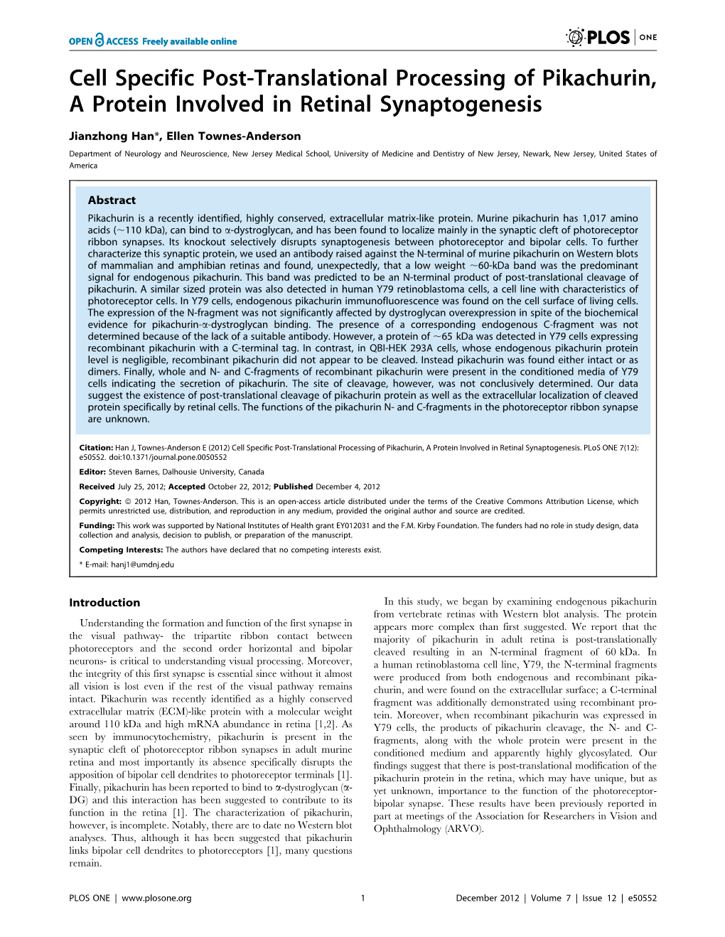 Cell Specific Post-Translational Processing of Pikachurin, a Protein Involved in Retinal Synaptogenesis