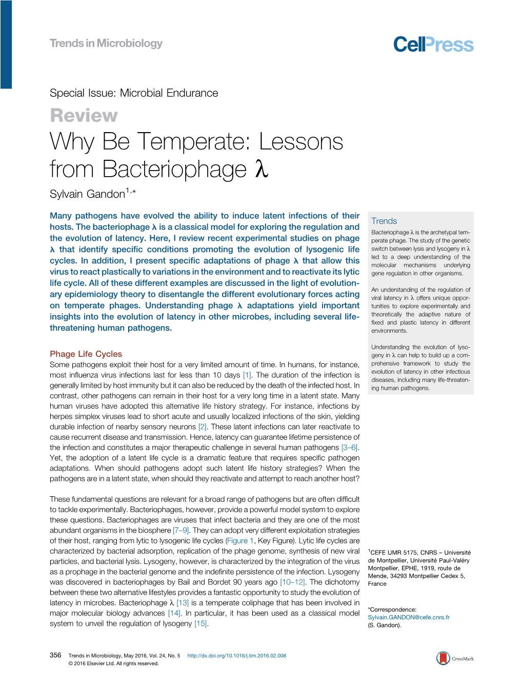 Why Be Temperate: Lessons from Bacteriophage Lambda