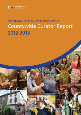 Countywide Curator Report 2012-2013