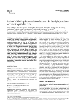 Quinone Oxidoreductase-1 in the Tight Junctions of Colonic Epithelial Cells