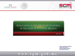 Evaluation of the Threat by Wildfires in the State of Yucatan, Mexico