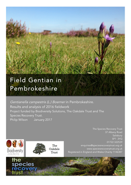 SRT Field Gentian in Pembrokeshire Report