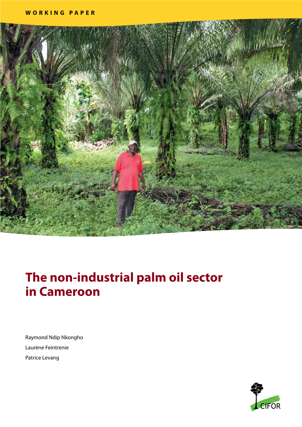 The Non-Industrial Palm Oil Sector in Cameroon
