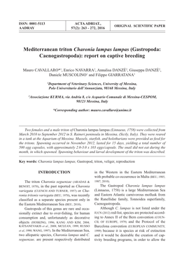 Mediterranean Triton Charonia Lampas Lampas (Gastropoda: Caenogastropoda): Report on Captive Breeding