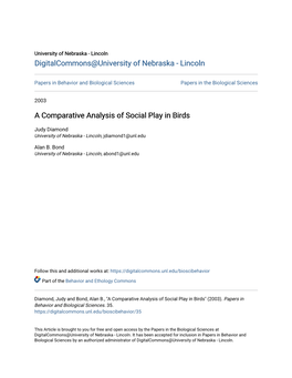 A Comparative Analysis of Social Play in Birds
