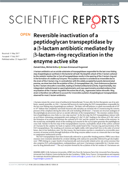 Reversible Inactivation of a Peptidoglycan Transpeptidase by A