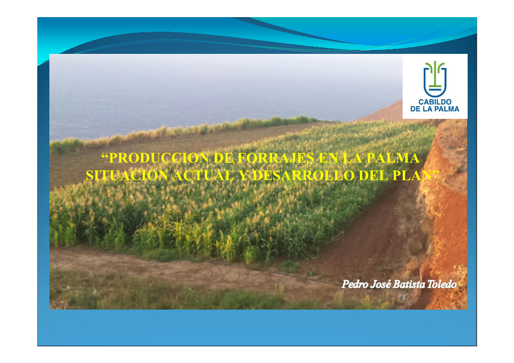 Produccion De Forrajes En La Palma Situacion Actual Y Desarrollo Del Plan
