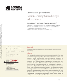 Vision During Saccadic Eye Movements