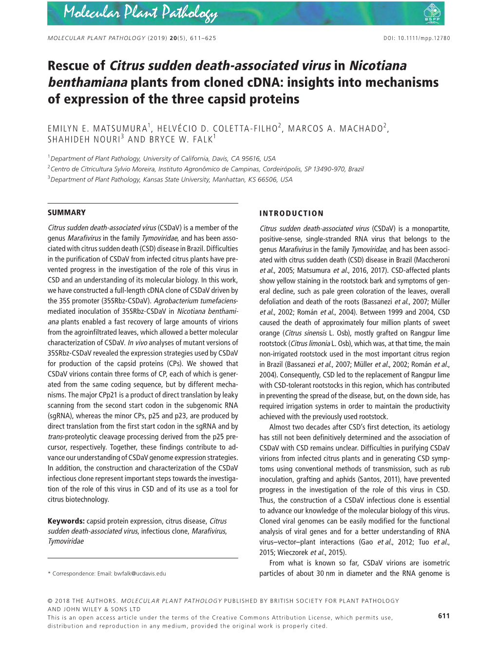 Associated Virus in Nicotiana Benthamiana Plants from Cloned Cdna: Insights Into Mechanisms of Expression of the Three Capsid Proteins