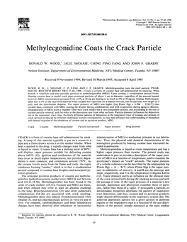 Methylecgonidine Coats the Crack Particle
