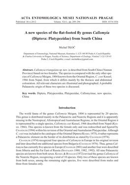 A New Species of the Flat-Footed Fly Genus Callomyia (Diptera