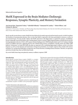 Musk Expressed in the Brain Mediates Cholinergic Responses, Synaptic Plasticity, and Memory Formation
