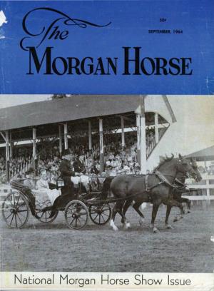 National Morgan Horse Show Issue