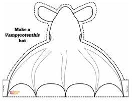 Vampire Squid Vampyroteuthis Infernalis