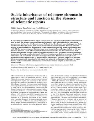 Stable Inheritance of Telomere Chromatin Structure and Function in the Absence of Telomeric Repeats
