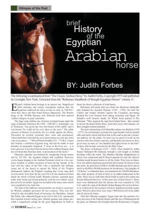 Egyptian Horse History
