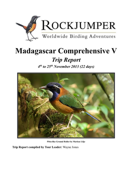 Madagascar Comprehensive V Trip Report 4Th to 25Th November 2013 (22 Days)