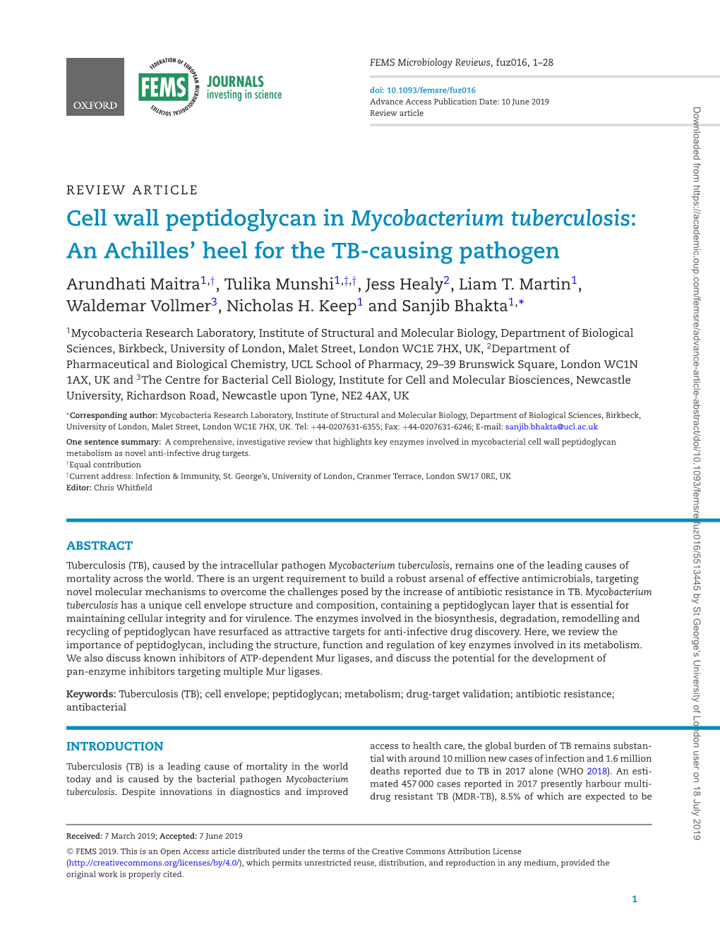 Cell Wall Peptidoglycan in Mycobacterium Tuberculosis