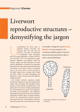 Liverwort Reproductive Structures – Demystifying the Jargon