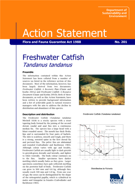 Freshwater Catfish