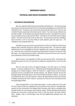 Barangay Balili Physical and Socio-Economic Profile