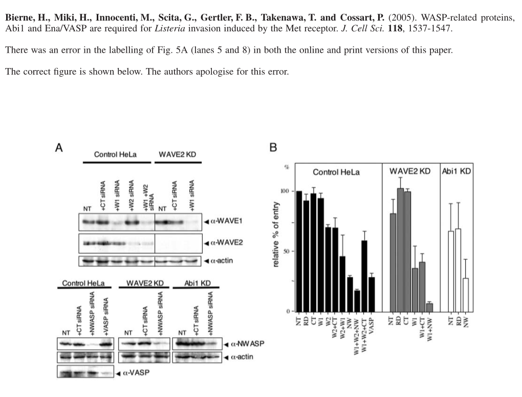 WASP-Related Proteins, Abi1 and Ena/VASP Are Required for Listeria Invasion Induced by the Met Receptor