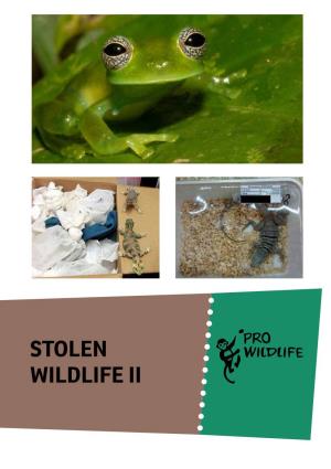 Stolen Wildlife II Why the EU Still Needs to Tackle Smuggling of Nationally Protected Species