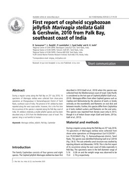 First Report of Cepheid Scyphozoan Jellyfish Marivagia Stellata Galil