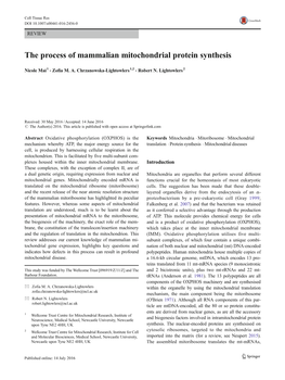 The Process of Mammalian Mitochondrial Protein Synthesis