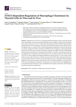 FOXE1-Dependent Regulation of Macrophage Chemotaxis by Thyroid Cells in Vitro and in Vivo