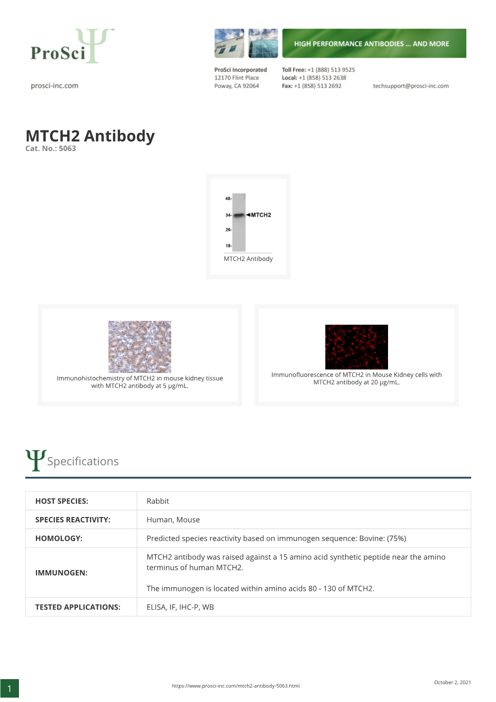 MTCH2 Antibody Cat