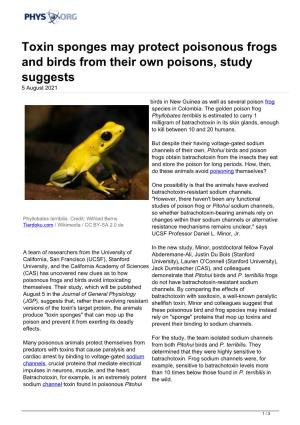 Toxin Sponges May Protect Poisonous Frogs and Birds from Their Own Poisons, Study Suggests 5 August 2021